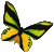 Ornithoptera&nbsp;goliath